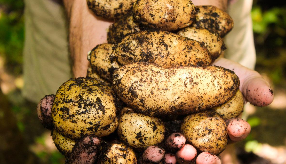 5 ways to reduce the water footprint of our food
