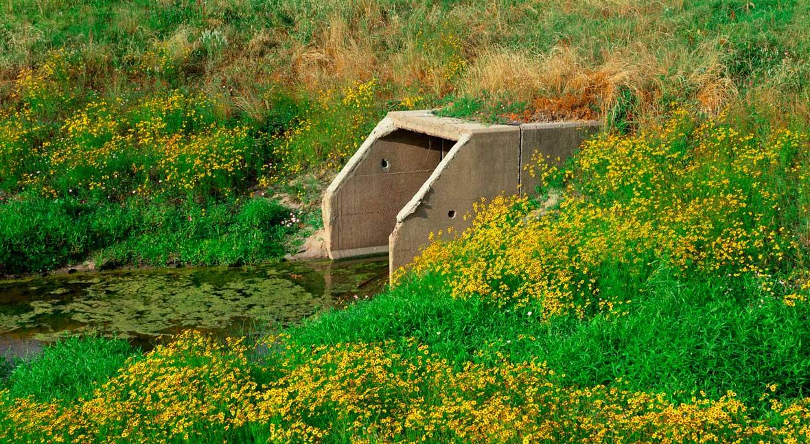 World Bank provides $10 million grant to sustain Palestinian wastewater treatment services
