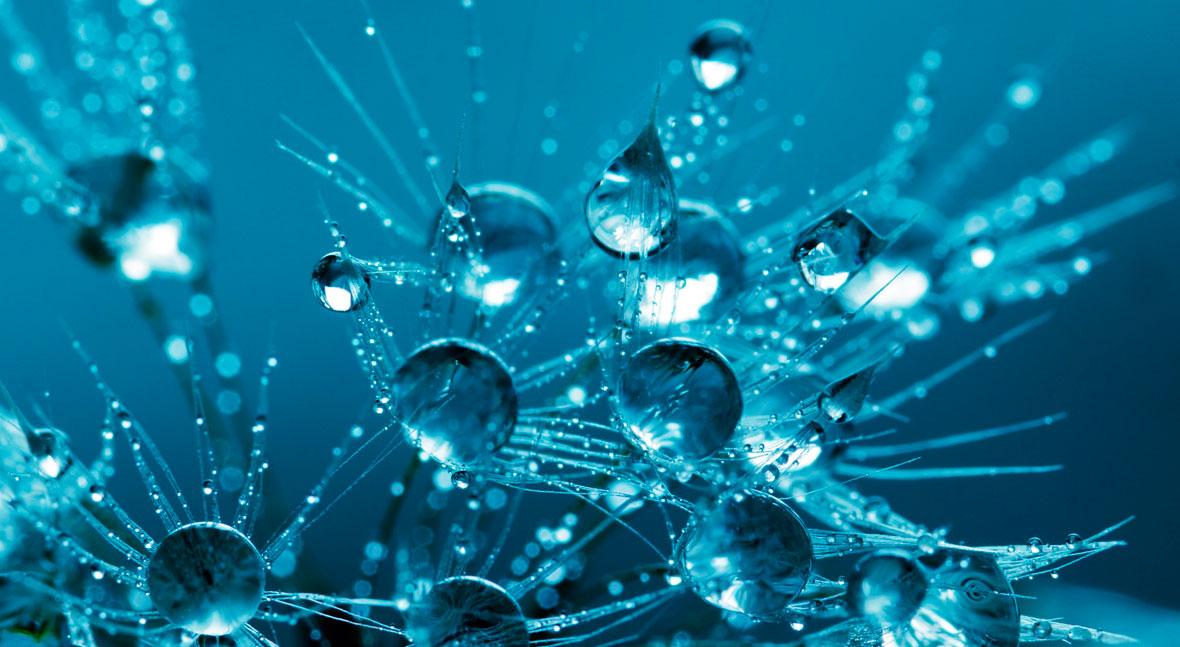 Bridging the digital divide for a smart water future