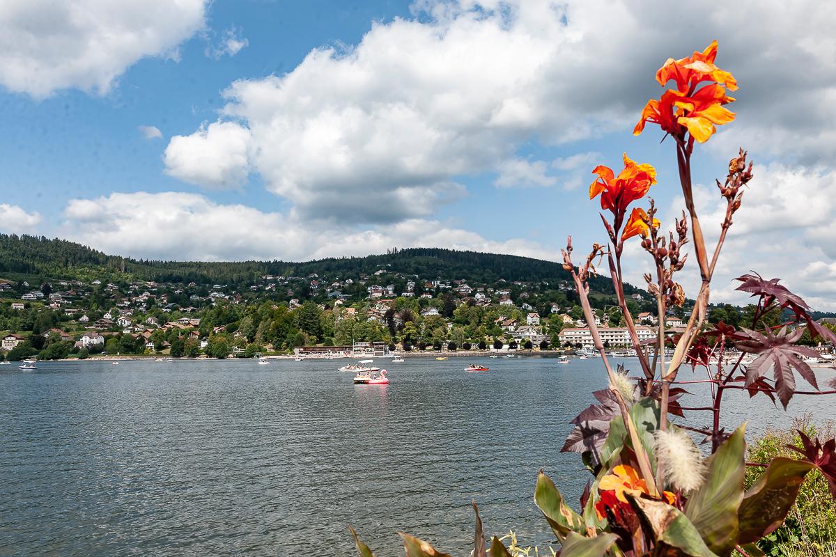 Tankers in the rain belt: France’s drought and the state of Europe’s drinking water networks