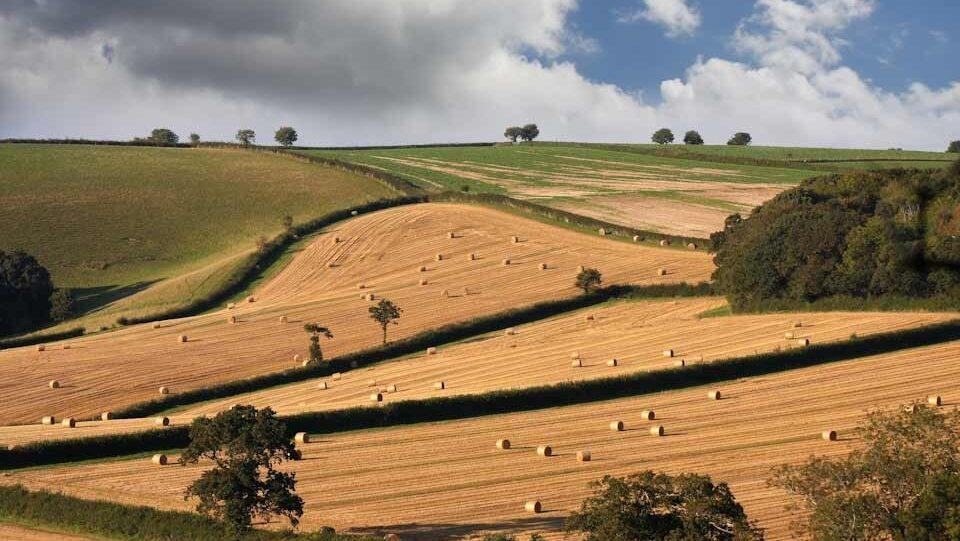 England’s water companies urged to keep up water efficiency work through spring
